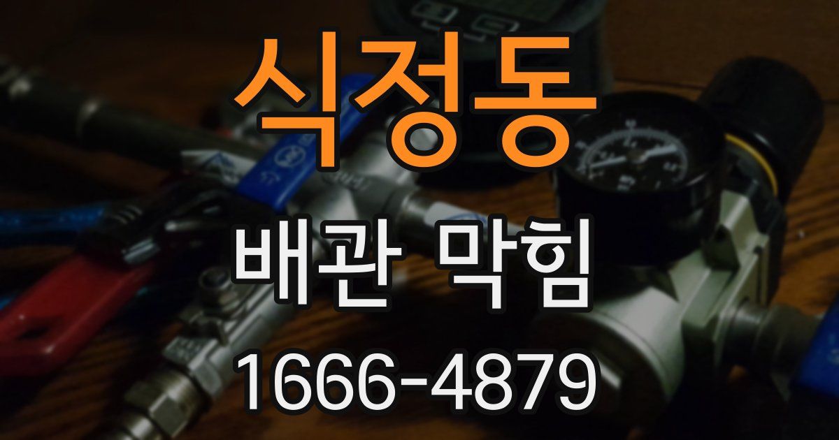 식정동 배관 막힘