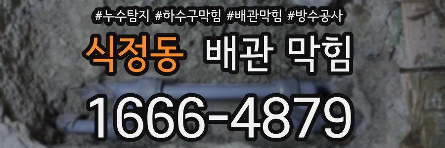 식정동 배관 막힘