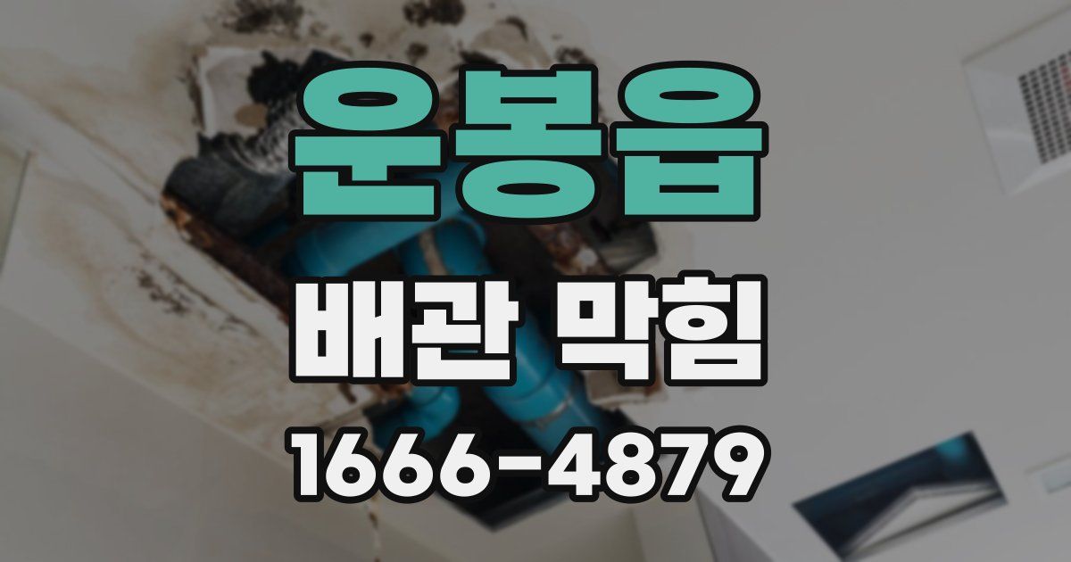 운봉읍 배관 막힘