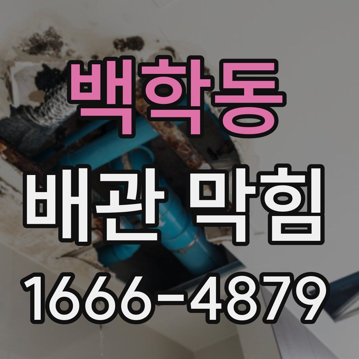 백학동 배관 막힘