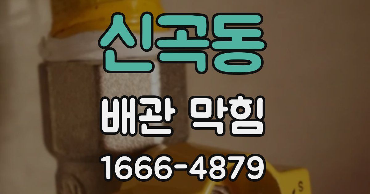 신곡동 배관 막힘