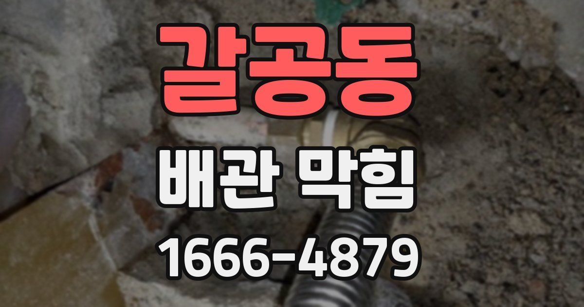 갈공동 배관 막힘