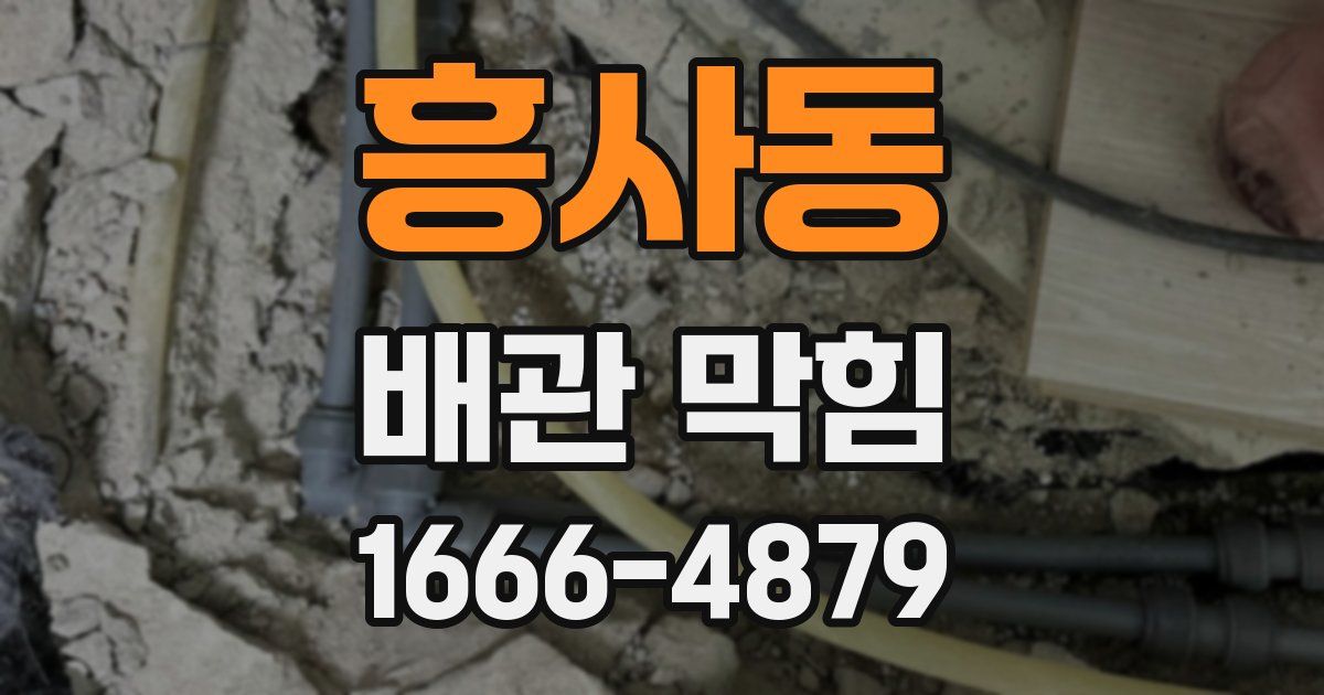 흥사동 배관 막힘