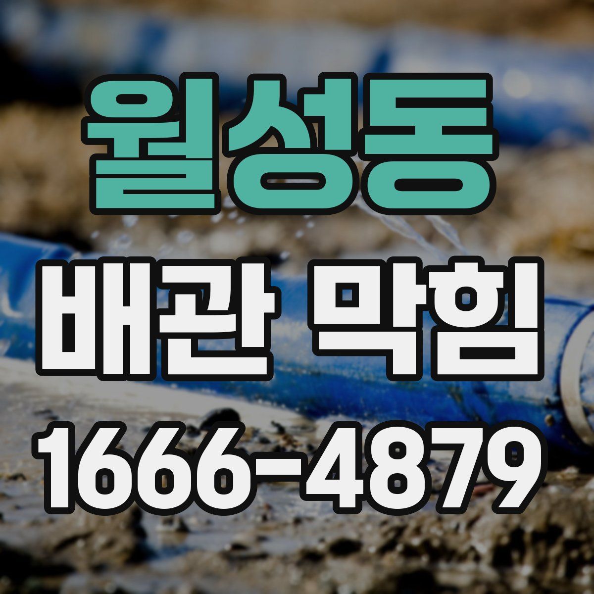 월성동 배관 막힘