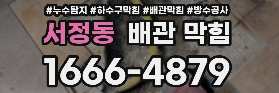 서정동 배관 막힘