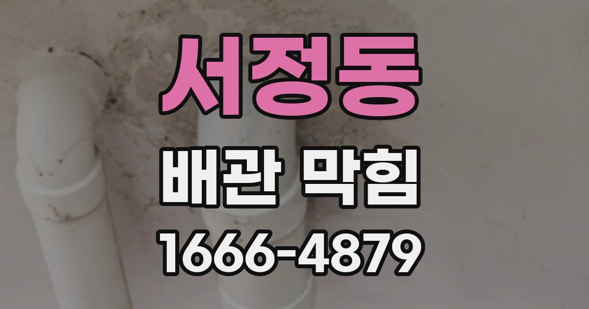 서정동 배관 막힘