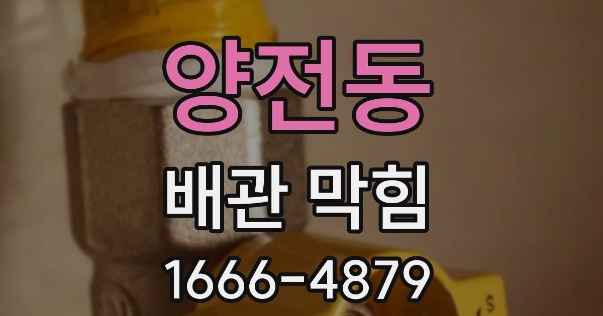 양전동 배관 막힘