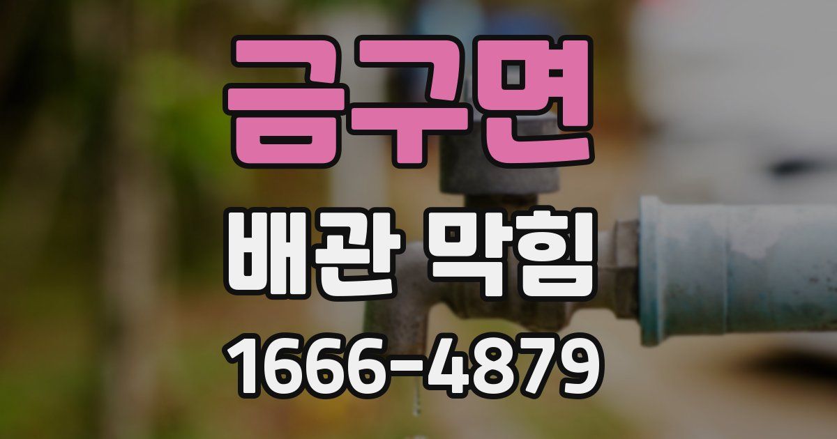 금구면 배관 막힘