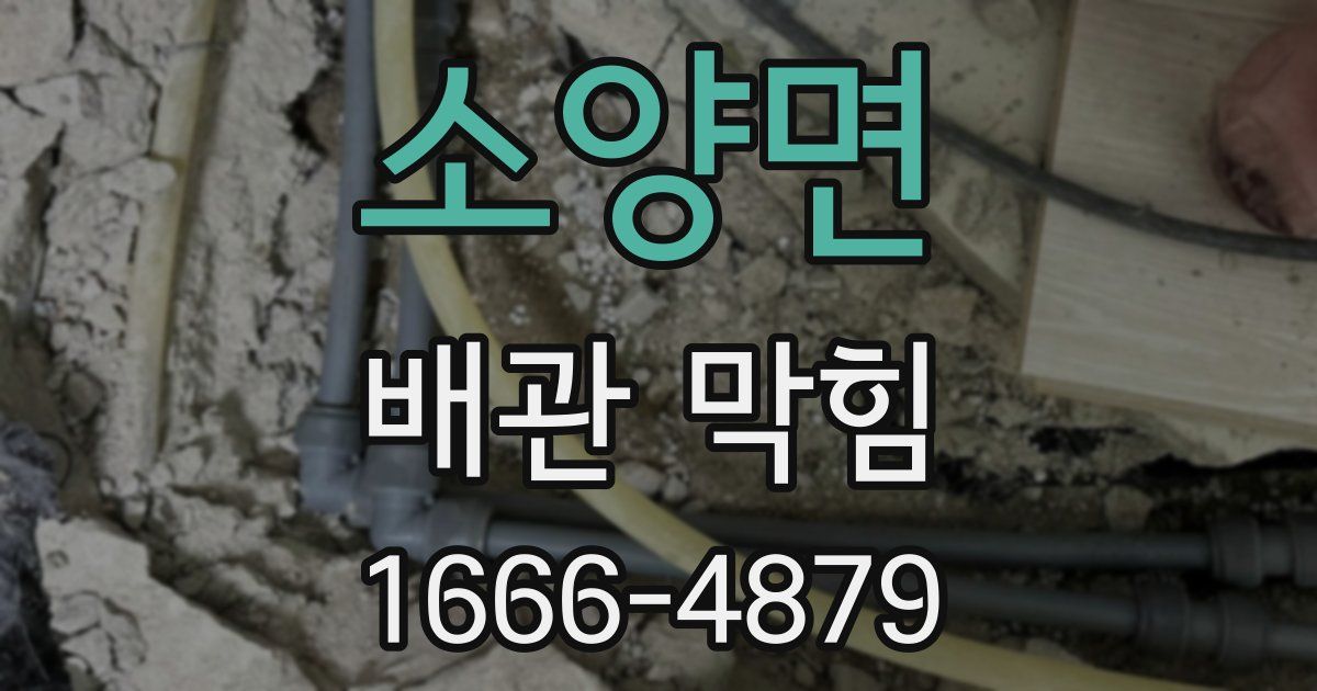 소양면 배관 막힘