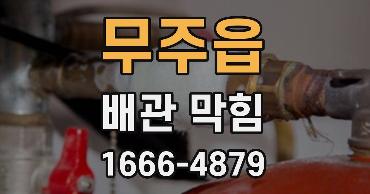 무주읍 배관 막힘