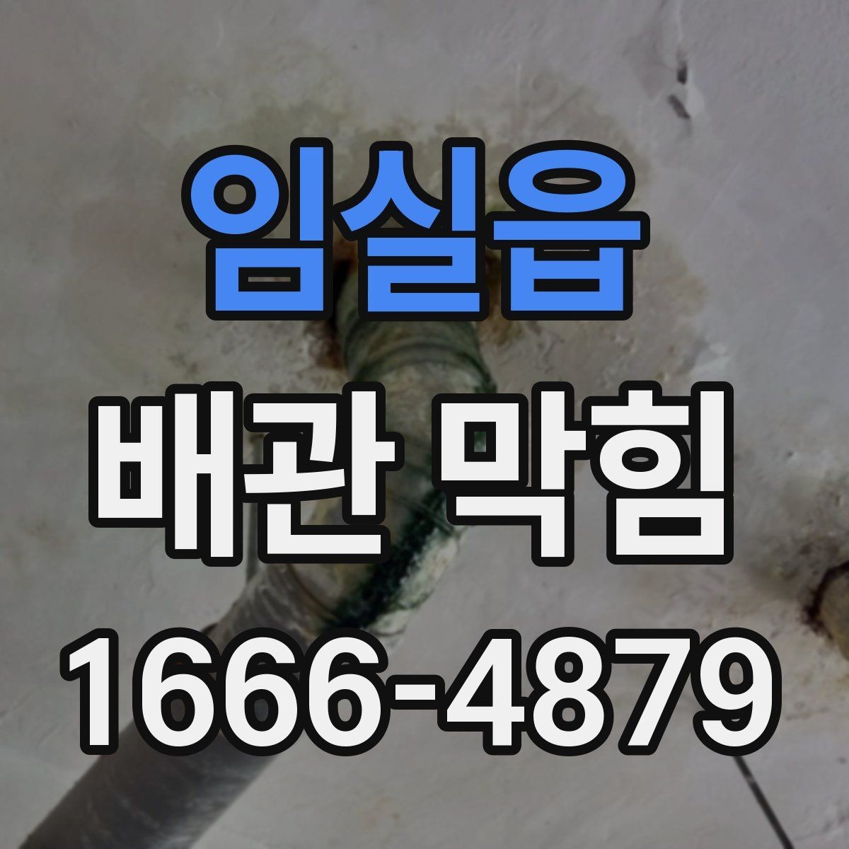 임실읍 배관 막힘 주변 환경까지 함께 보는 이유
