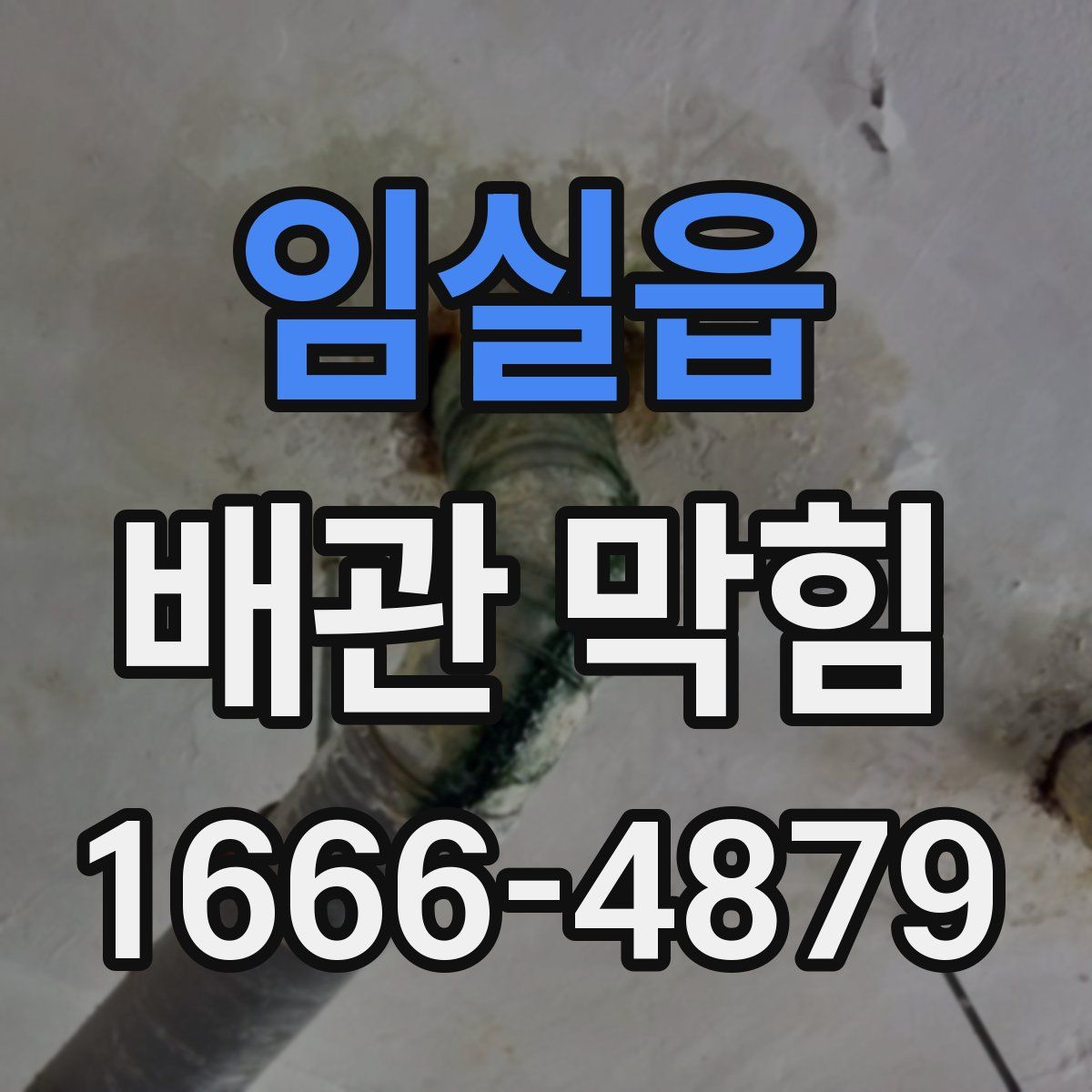 임실읍 배관 막힘