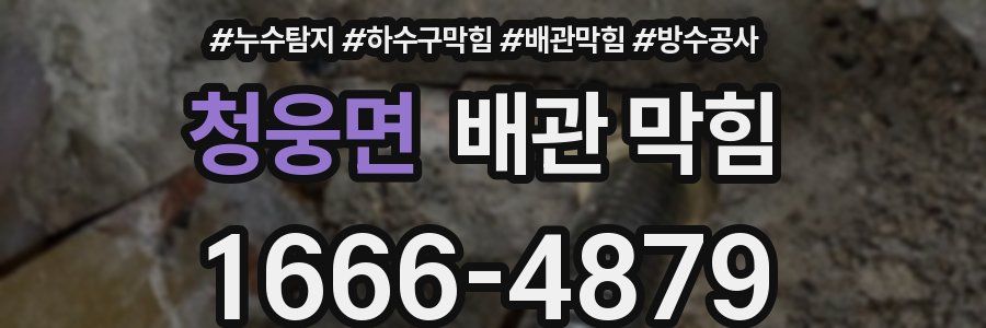 청웅면 배관 막힘