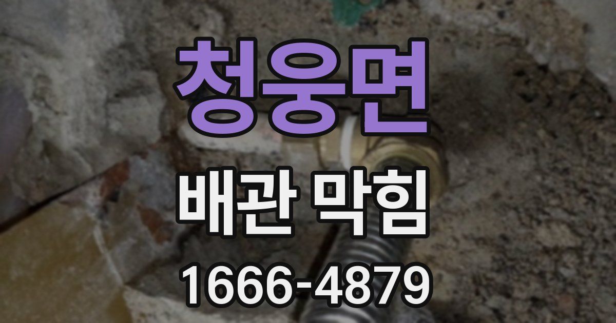 청웅면 배관 막힘