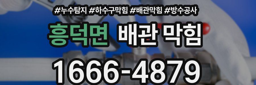 흥덕면 배관 막힘