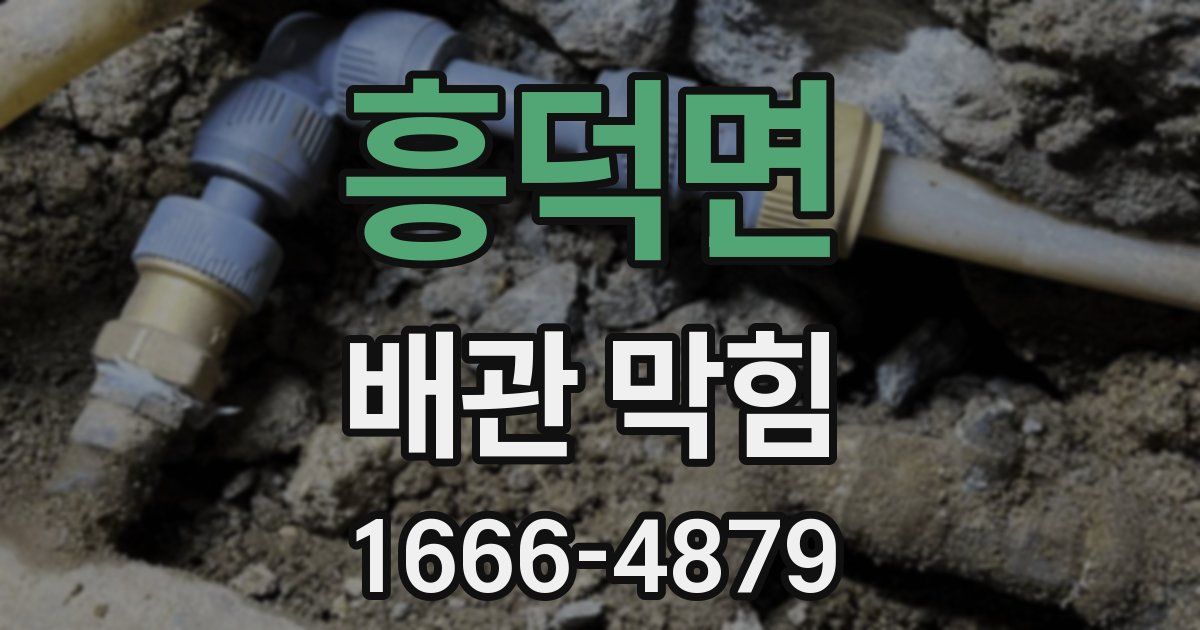 흥덕면 배관 막힘