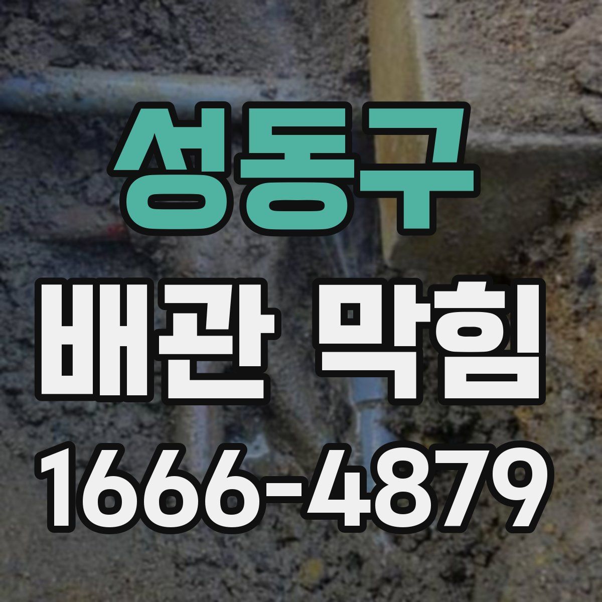 성동구 배관 막힘