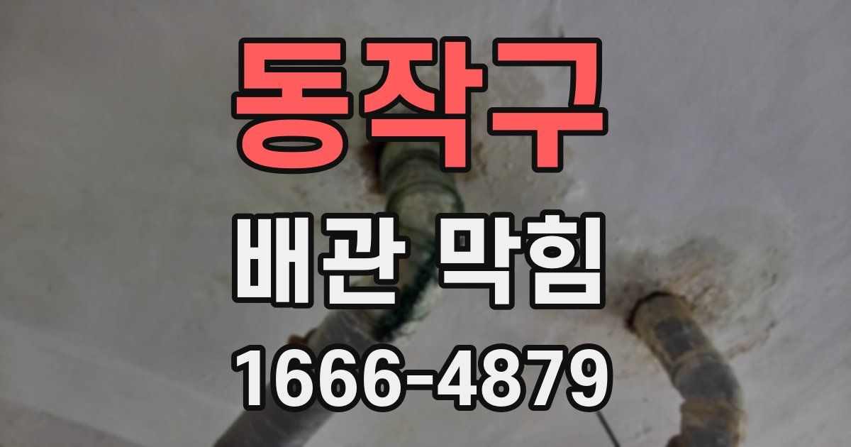 동작구 배관 막힘