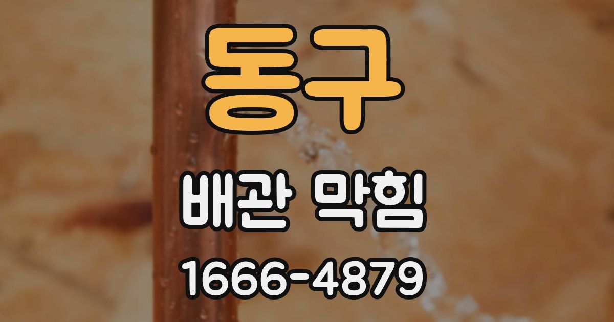 동구 배관 막힘