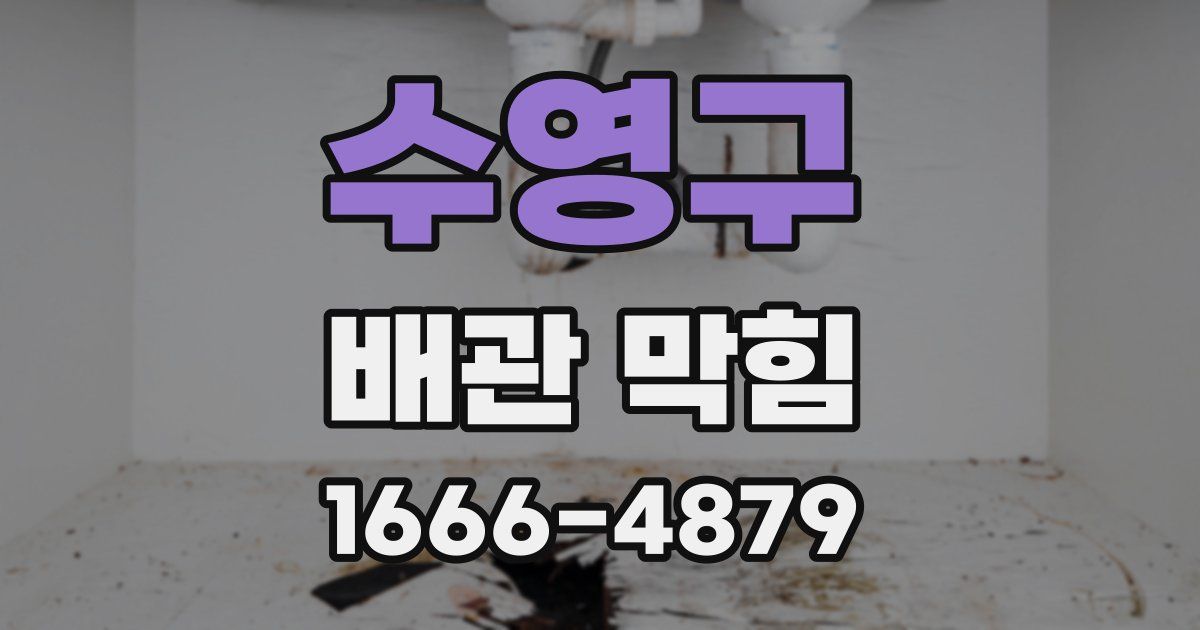 수영구 배관 막힘