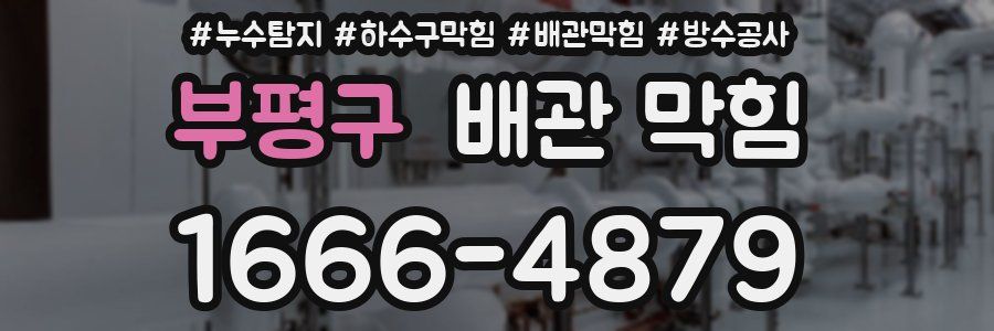 부평구 배관 막힘