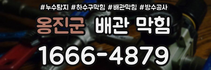 옹진군 배관 막힘