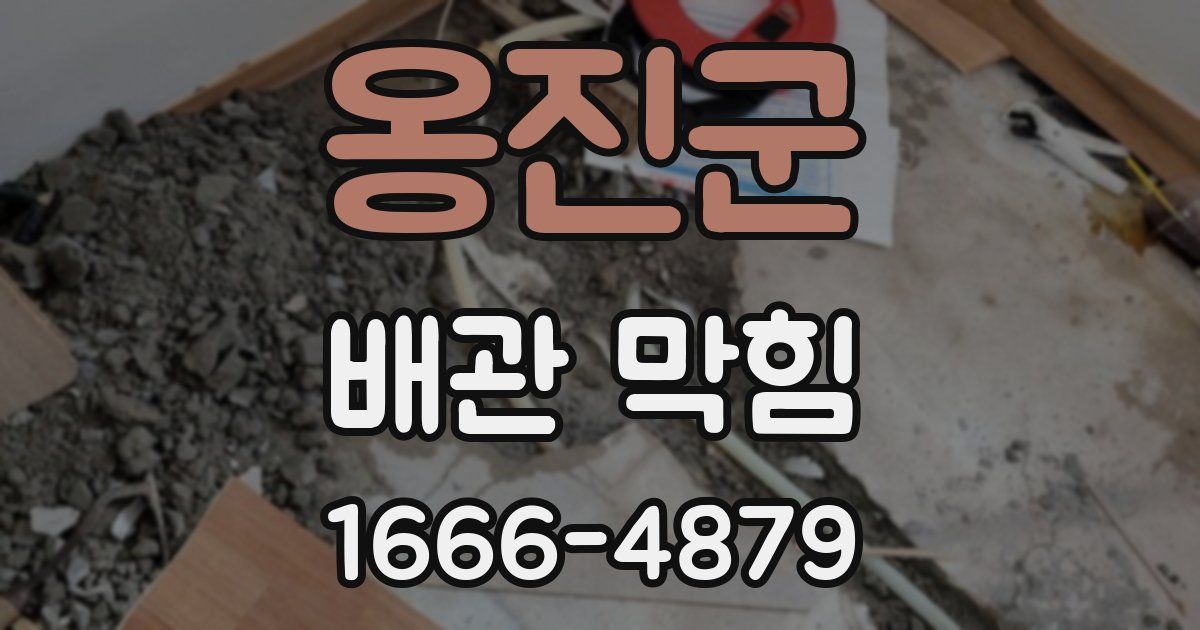 옹진군 배관 막힘