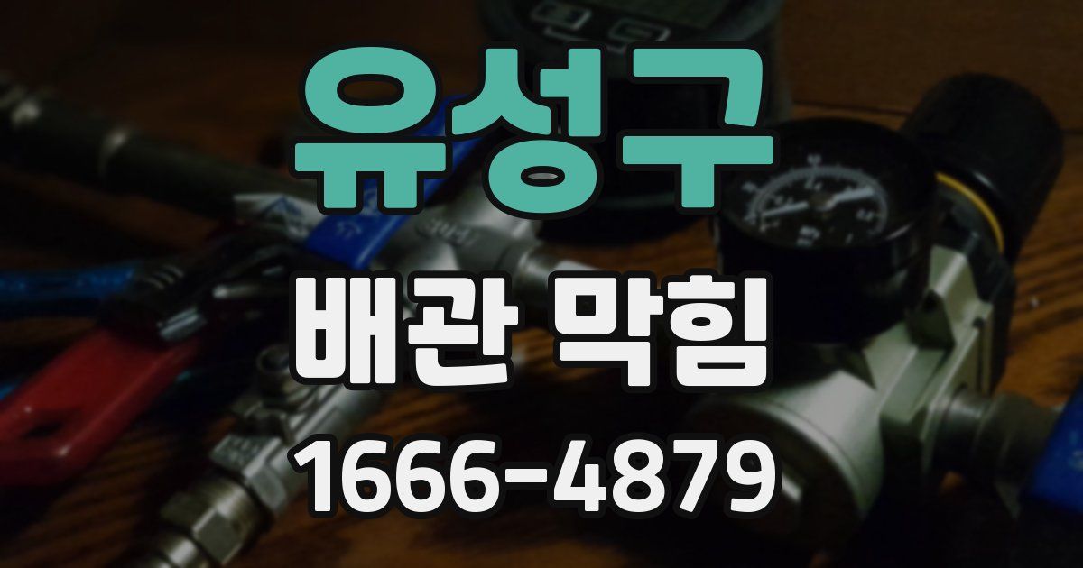 유성구 배관 막힘