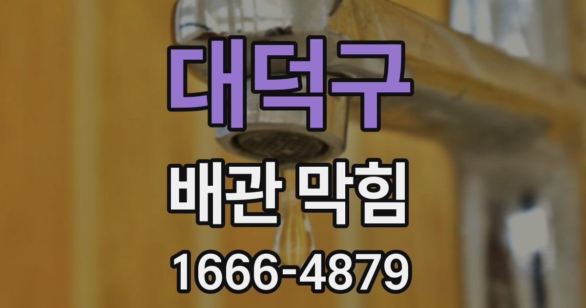 대덕구 배관 막힘