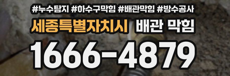 세종특별자치시 배관 막힘