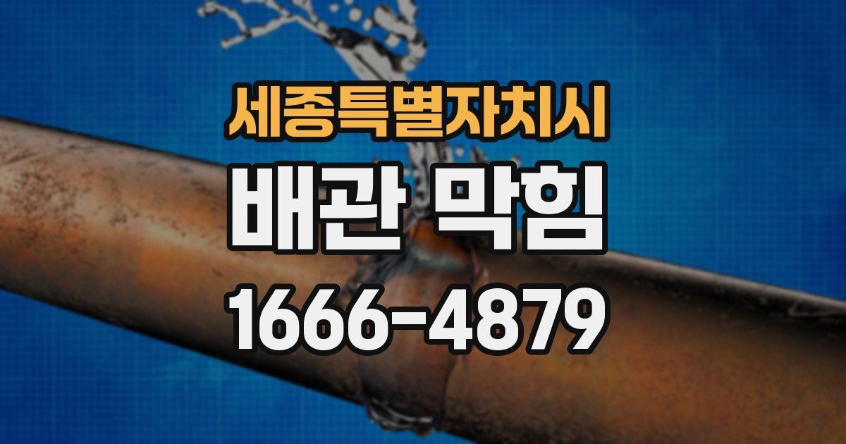 세종특별자치시 배관 막힘