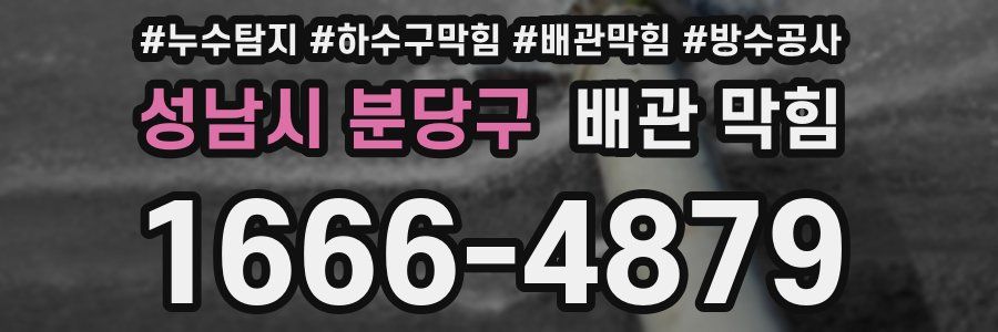 성남시 분당구 배관 막힘