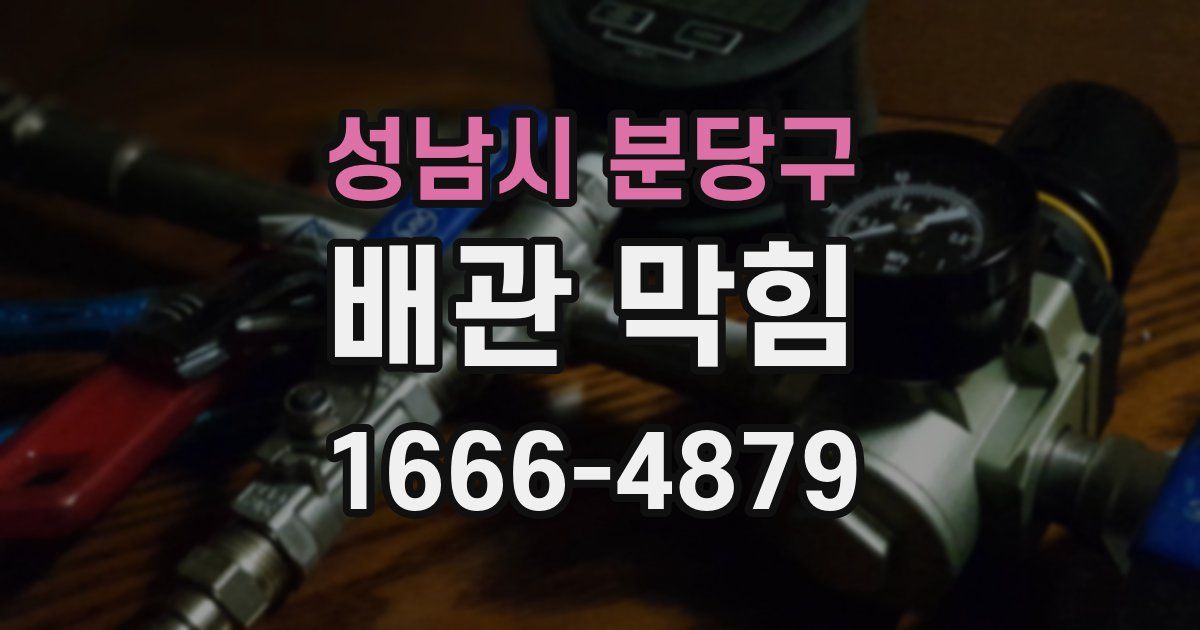 성남시 분당구 배관 막힘