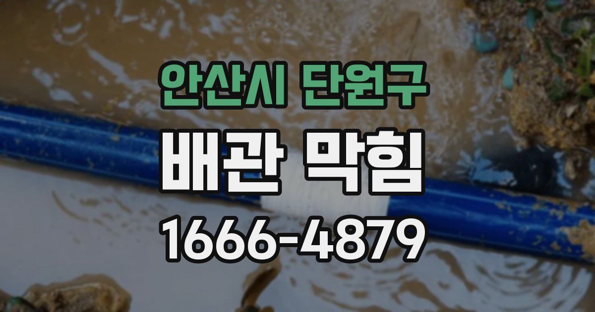 안산시 단원구 배관 막힘