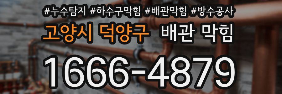 고양시 덕양구 배관 막힘