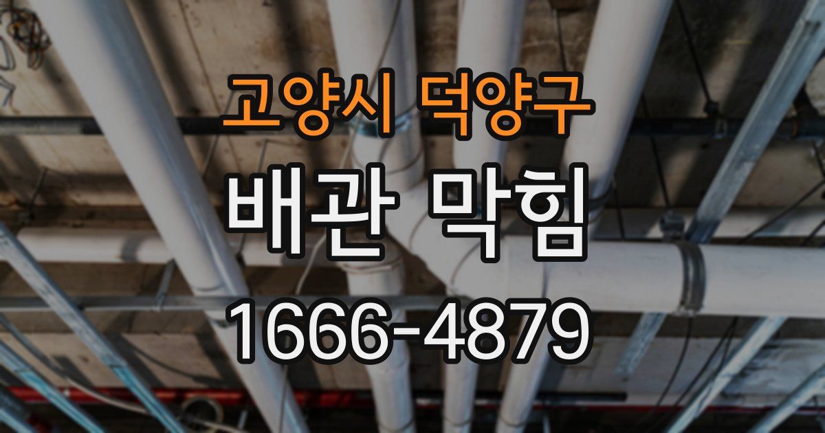 고양시 덕양구 배관 막힘