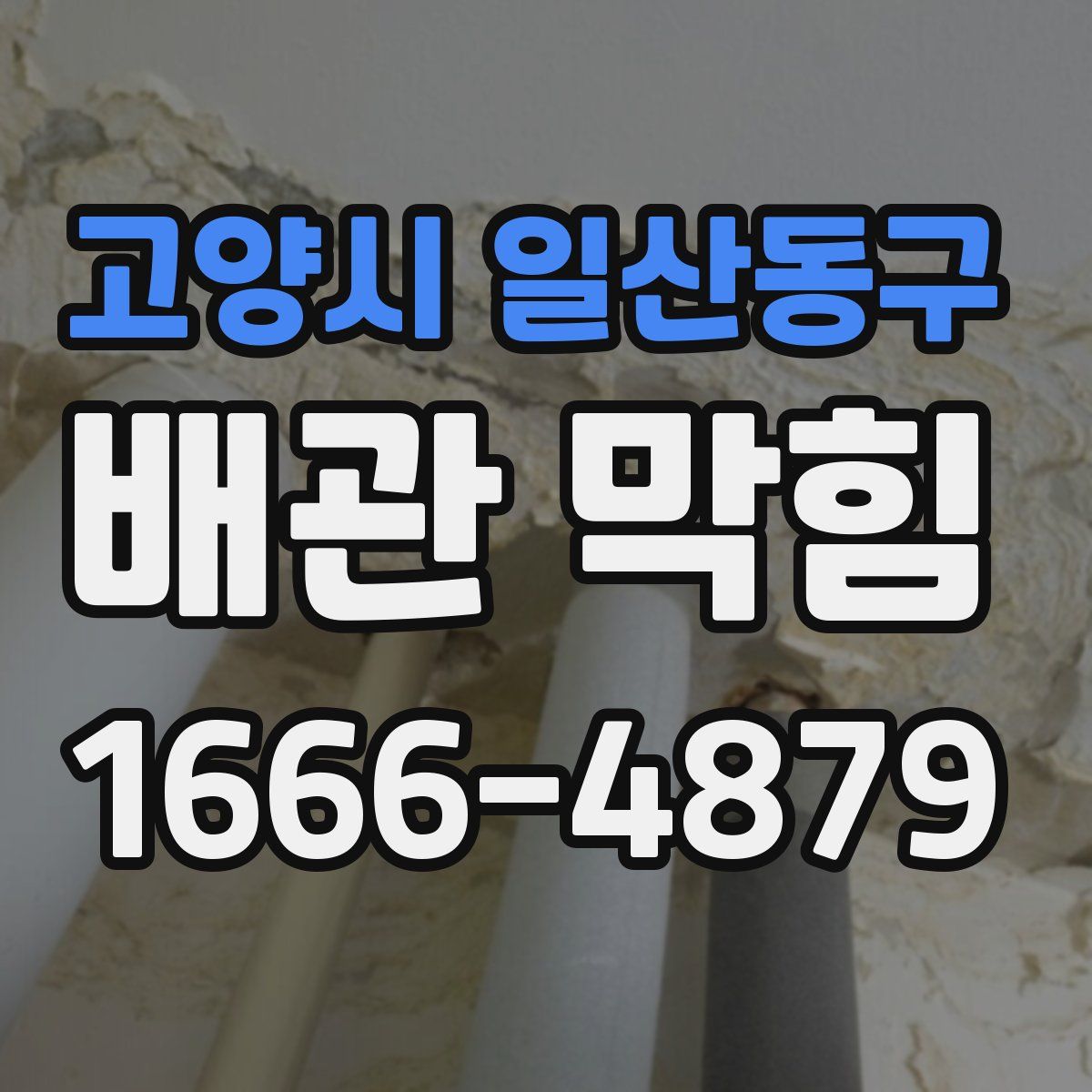 고양시 일산동구 배관 막힘
