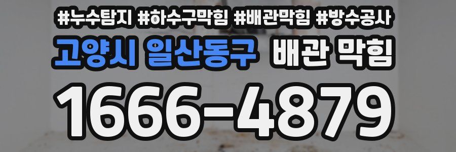 고양시 일산동구 배관 막힘