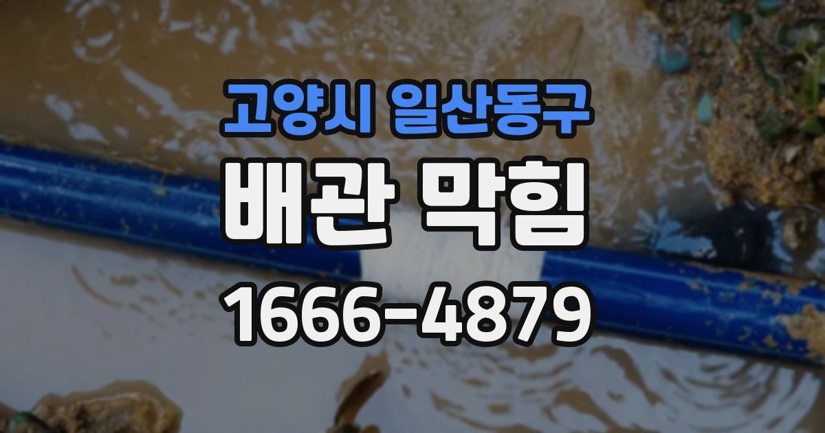 고양시 일산동구 배관 막힘