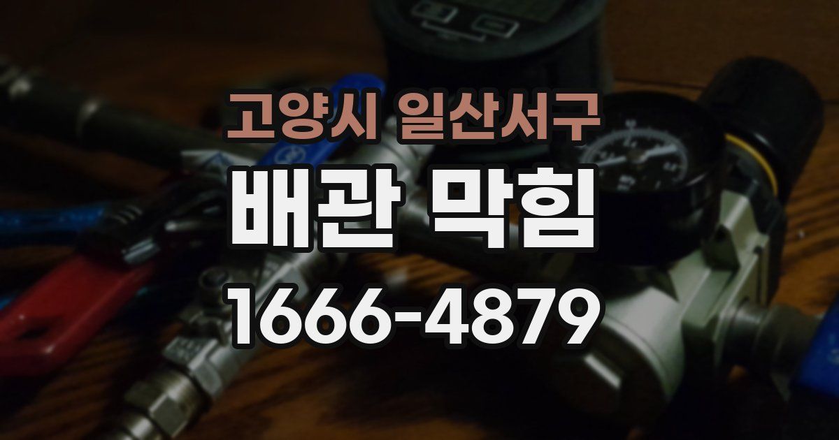 고양시 일산서구 배관 막힘