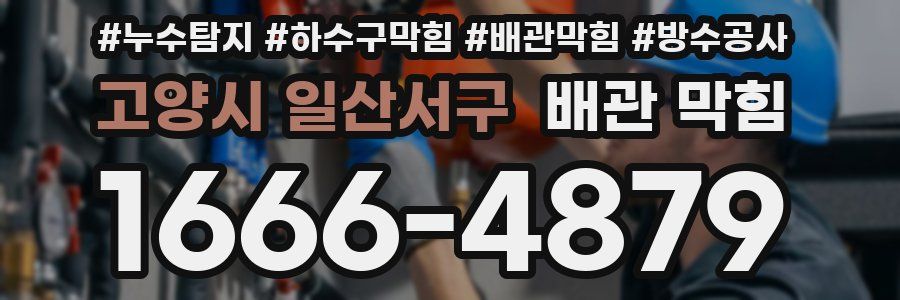 고양시 일산서구 배관 막힘