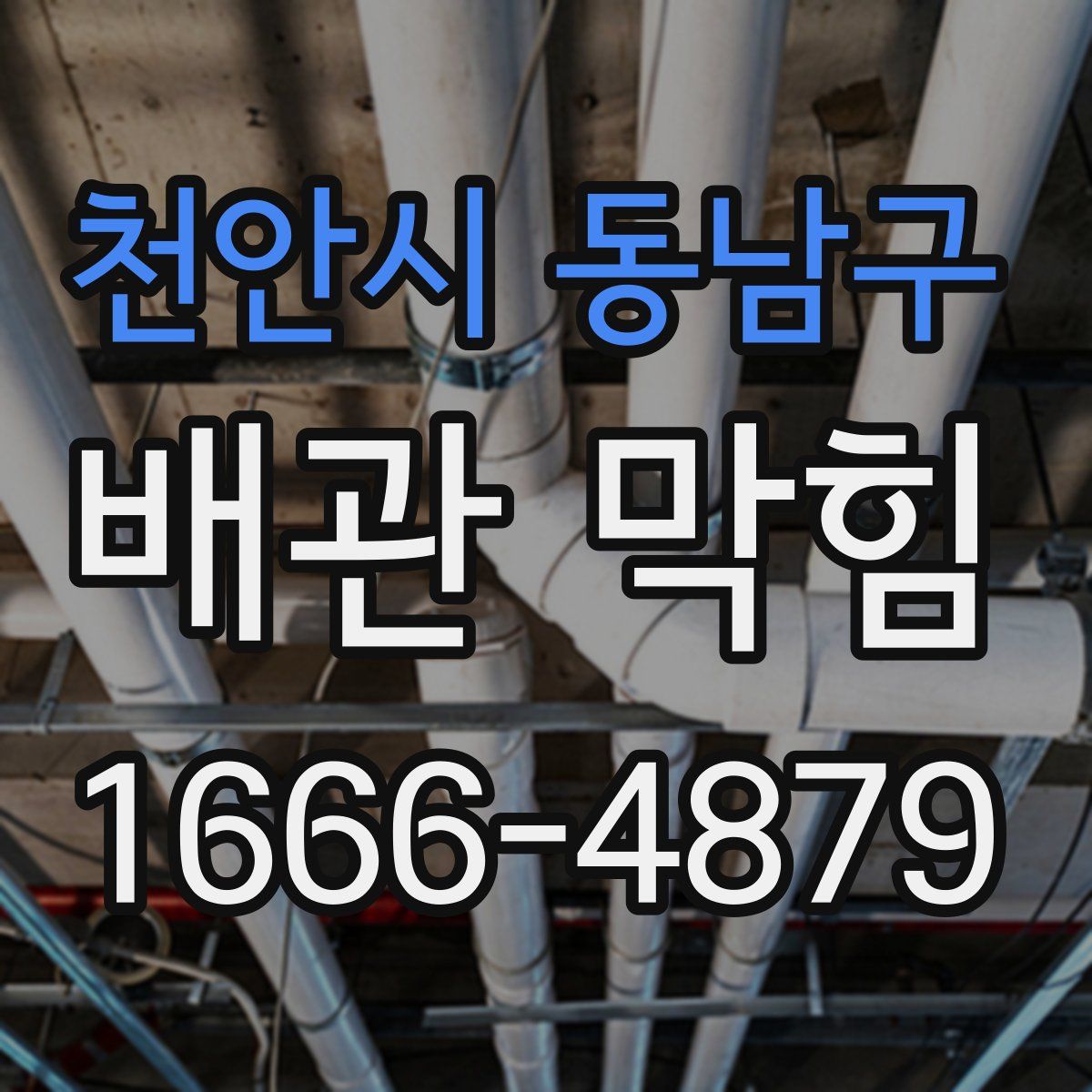 천안시 동남구 배관 막힘
