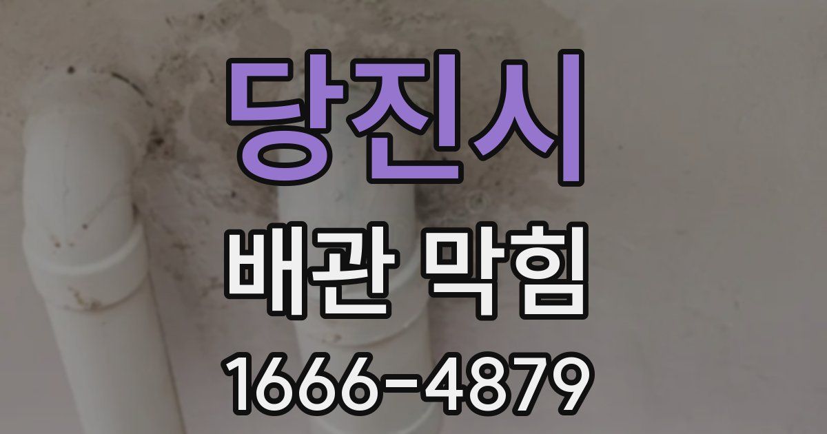 당진시 배관 막힘