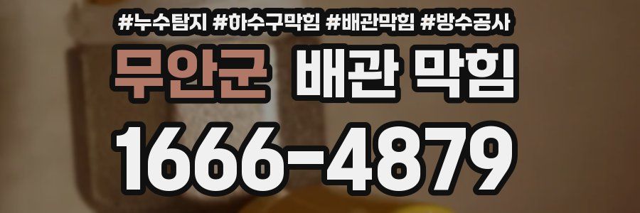 무안군 배관 막힘