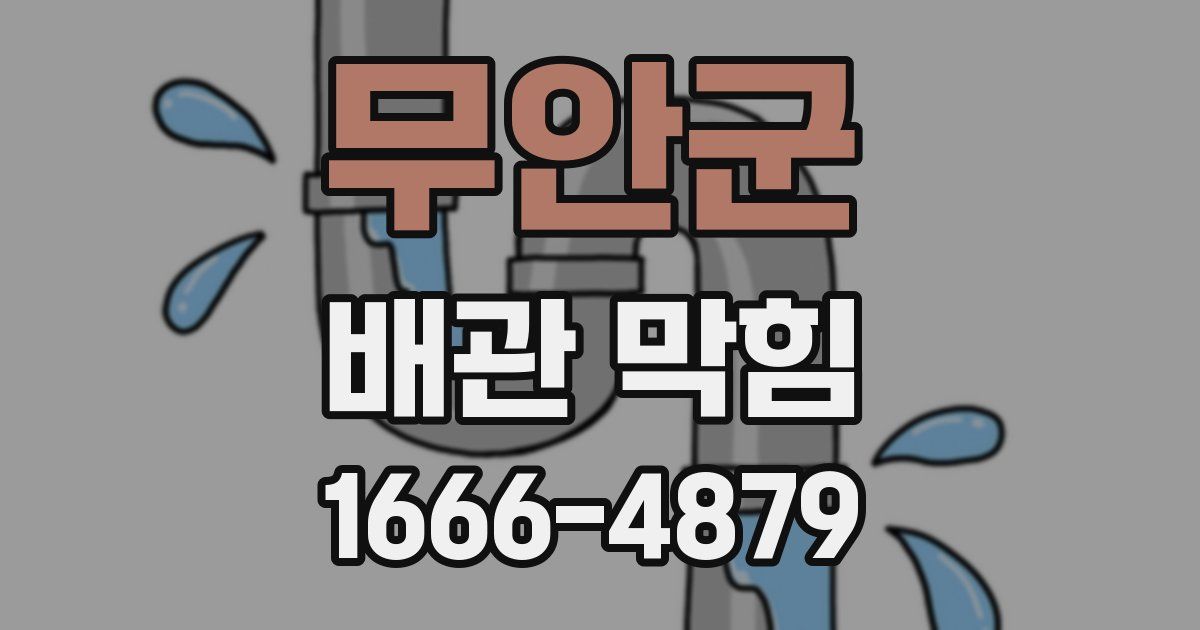 무안군 배관 막힘