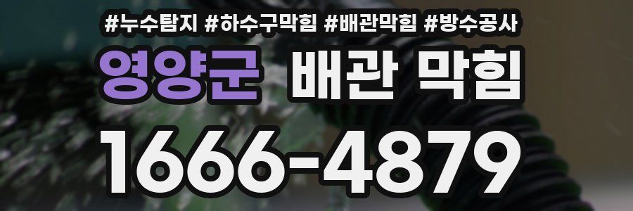 영양군 배관 막힘
