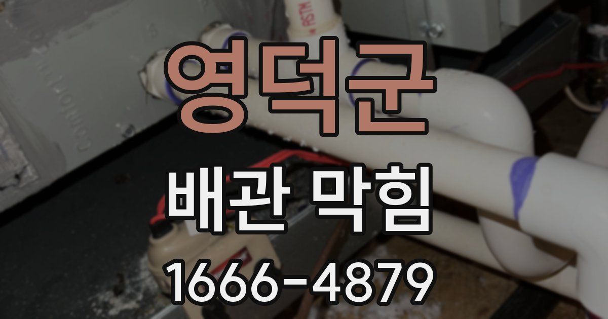 영덕군 배관 막힘