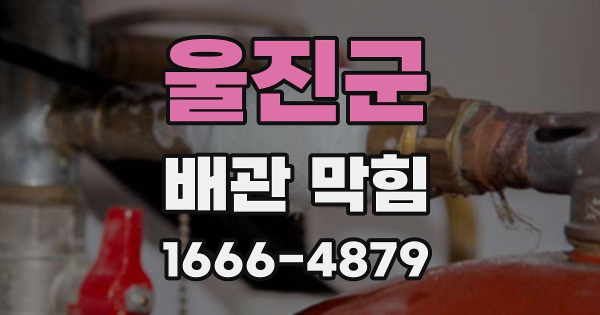 울진군 배관 막힘