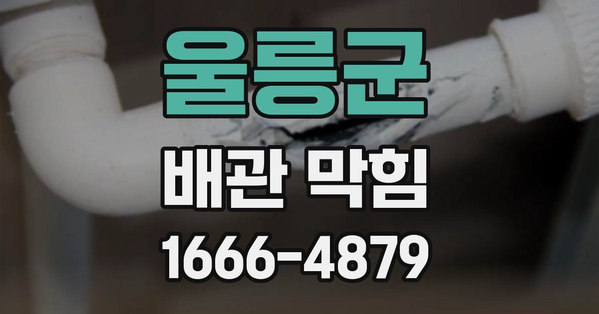울릉군 배관 막힘