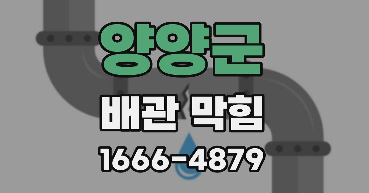 양양군 배관 막힘